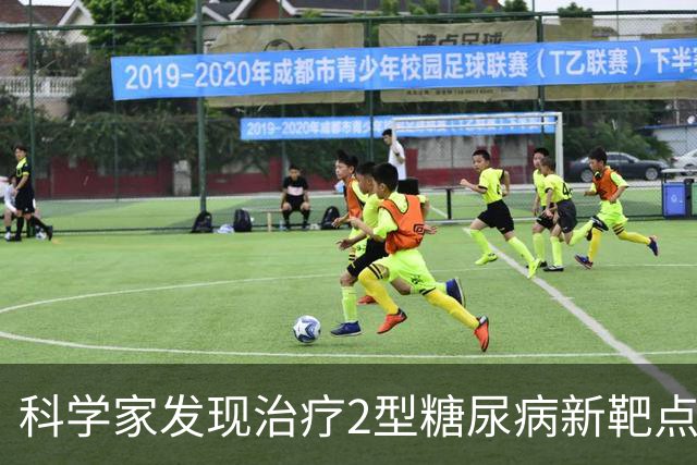 科学家发现治疗2型糖尿病新靶点，找到胰岛素抵抗关键影响因素